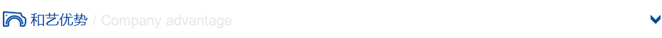 公司優(yōu)勢